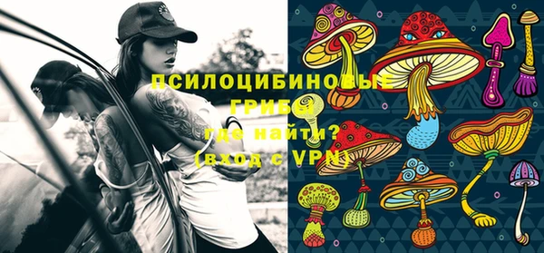 соль курить ск Михайлов