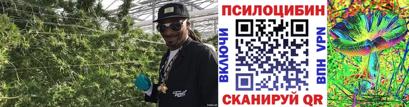 Псилоцибиновые грибы мицелий  наркошоп  Тольятти 